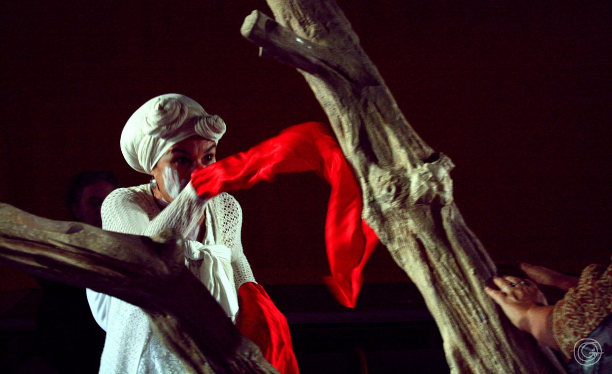 The tree, photo Rina Skeel